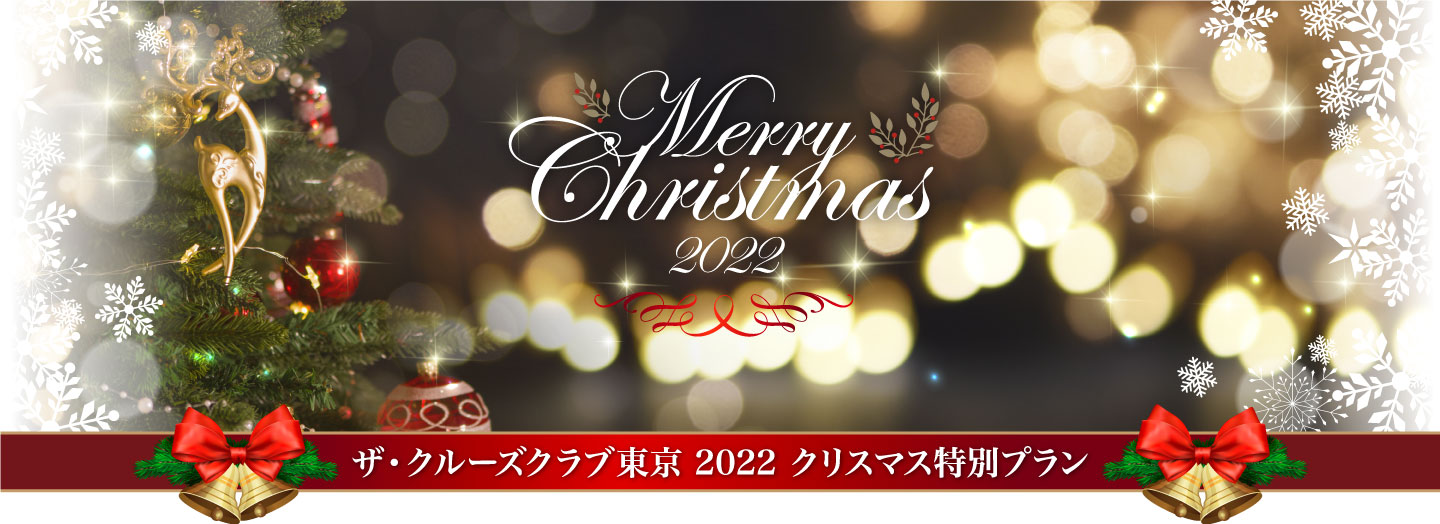 クリスマス特別プラン 東京湾で心に残る特別な日を ザ クルーズクラブ東京