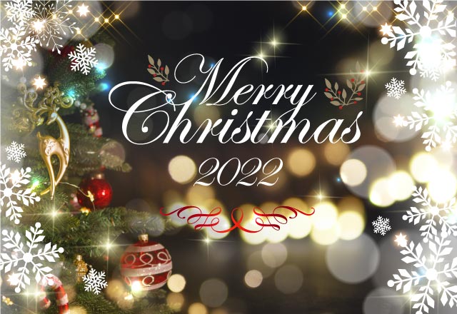 クリスマス特別プラン 東京湾で心に残る特別な日を ザ クルーズクラブ東京